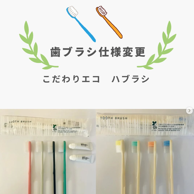 insta こだわりエコ歯ブラシ